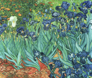 An Idyllic Van Gogh Painting Of A Tranquil Field In Bloom Wallpaper