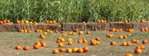 An Idyllic View Of A Rural Fall Farm Wallpaper