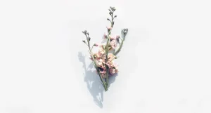 An Innovative Minimalist Design For A Flowery Computer Wallpaper