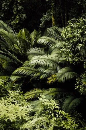 An Oasis Of Green Amidst The Urban Jungle Wallpaper