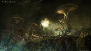 An Overview Of The Vvardenfell Region Of Morrowind Wallpaper