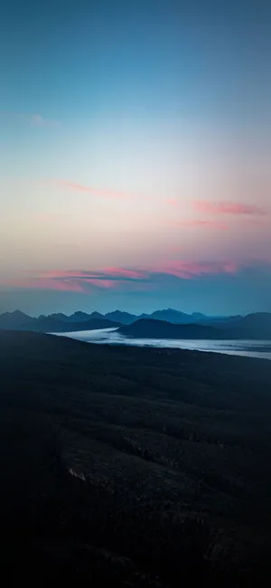 An Up-close Look At A High Quality Phone Wallpaper