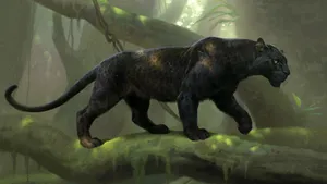 An Up-close Look At A Majestic Cool Black Panther Wallpaper