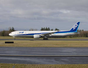 Ana Aircraft On Runway Wallpaper