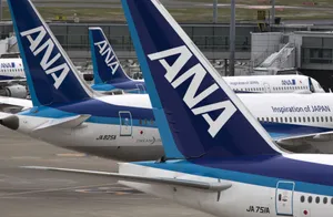Ana Aircraft Tails Wallpaper