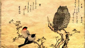 Ancient Japanese Art-owl And Birds Wallpaper