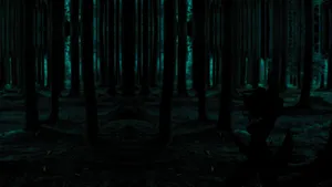 Ancient Moss-covered Redwood Trees In Dark Green Forest Wallpaper