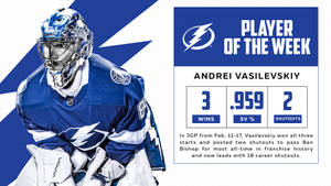 Andrei Vasilevskiy In Action During Game Week Wallpaper