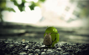 Android Robot Explorer Wallpaper