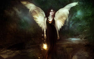 Angel 1920 X 1200 Wallpaper