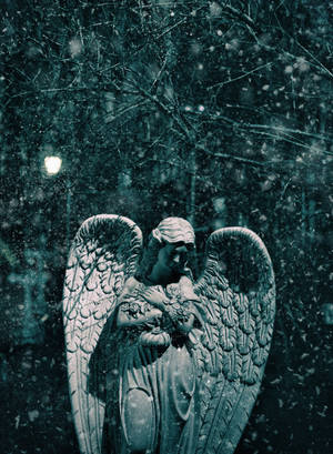 Angel 2000 X 2729 Wallpaper