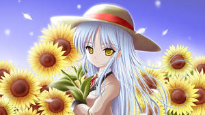 Angel Beats Sunflower Garden Wallpaper