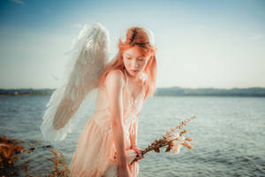 Angel Wallpaper