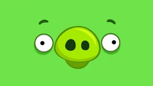 Angry Bird Pig Funny Face Wallpaper