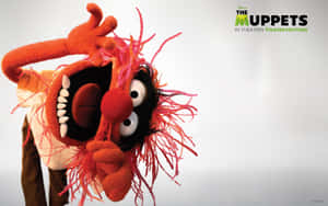 Animal Muppet Fun Wallpaper