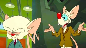 Animaniacs Pinky And Brain Scene Wallpaper