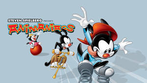 Animaniacs Rocking Series Poster Wallpaper