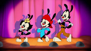 Animaniacs Warners Singing Intro Wallpaper