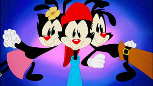 Animaniacs Warners Trio Cartoon Wallpaper