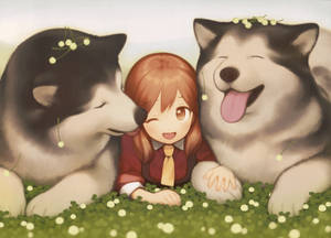 Anime Dog Alaskan Malamute Wallpaper