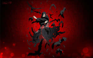 Anime Itachi Live Crows Wallpaper