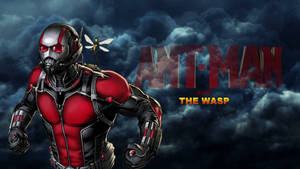 Ant Man And The Wasp Wallpaper