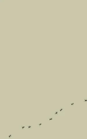 Ants Minimalist Ipad Wallpaper