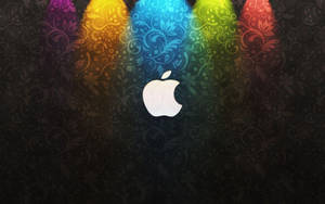 Apple Logo 4k Against Damask Wall Wallpaper