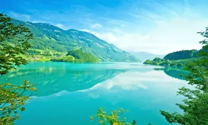 Appreciate The Beauty Of Nature! Wallpaper