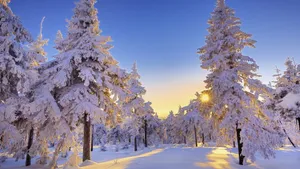 Appreciate The Beauty Of Winter With A Frosty Desktop Wallpaper Wallpaper