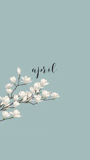 April Blossoms Background Wallpaper