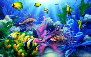 Aquarium Cool Fish Wallpaper