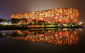 Architecture Bird's Nest Wallpaper