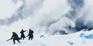 Arctic Showdown Wallpaper