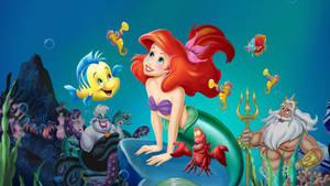 Ariel The Little Mermaid Wallpaper