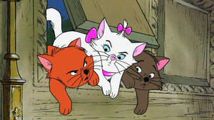 Aristokittens From The Aristocats Wallpaper