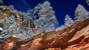 Arizona Rock Formations On Winter Wallpaper