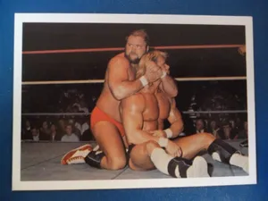 Arn Anderson Match Against Lex Luger Wallpaper