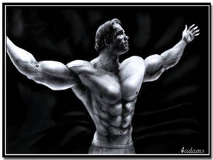 Arnold Schwarzenegger Graphic Art Wallpaper