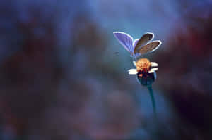 Artistic Flowers And Butterflies Wallpaper