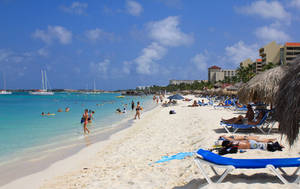 Aruba White Sandy Shore Wallpaper