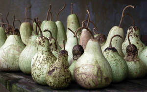 Ash Gourd With Different Shapes Wallpaper