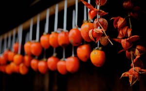 Astounding Sight Of Persimmon Fruit Wallpaper