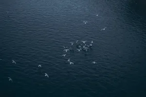 At Sea Android Tablet Wallpaper