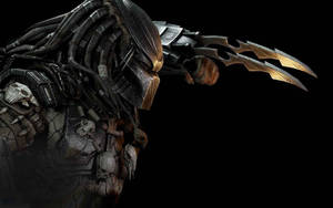 Attacking Predator With Sharp Claws Wallpaper