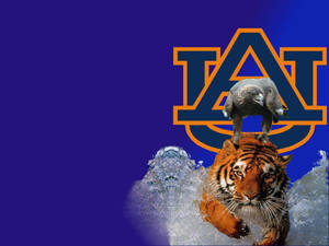 Auburn Football With Charging Tiger Wallpaper