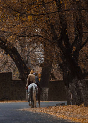 Autumn In Kabul Wallpaper