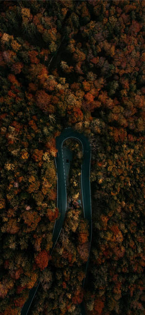 Autumn Iphone Salzburg Curved Road Wallpaper