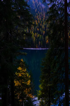 Autumn Lake Dark Forest Wallpaper