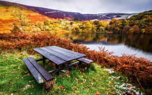 Autumn Lakeside Picnic Area Wallpaper